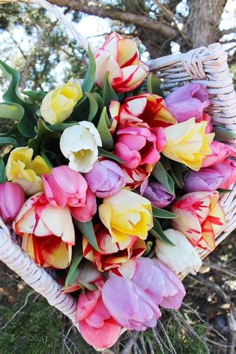 There is a variety of interesting activities children can be involved in, such as planting, mulching, weeding and cooking. Colourful tulips, pick your own! | Tulips, Colorful tulips ...