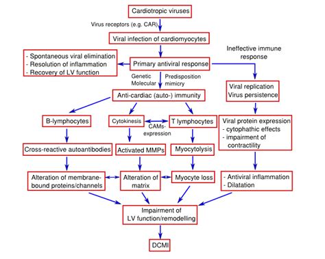 Endomyocardial biopsy represents the gold. Myocarditis - Textbook of Cardiology