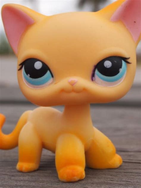 Brooklyn From Lps Popular What Is She Doing Here What Do You People