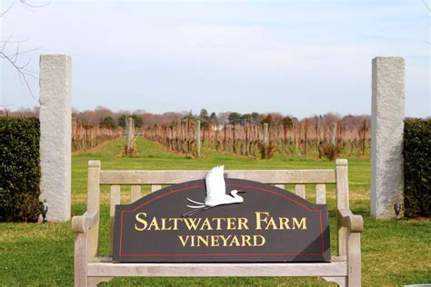 Saltwater Farm Vineyard Foxwoods Saltwater Vineyard Destinations