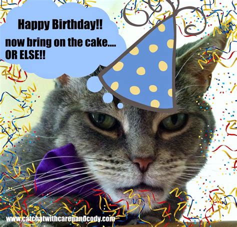 If applicable, you might even want to post some faqs on the new product or service in the q&a. Cat Chat With Caren And Cody: Happy Birthday To My Mom!
