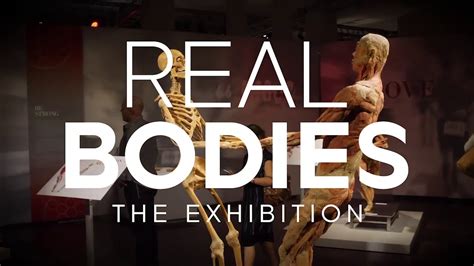 Real Bodies The Exhibition Youtube
