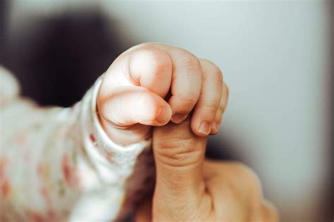 Baby Hand Holding Adult Finger Free Stock Photo Picjumbo