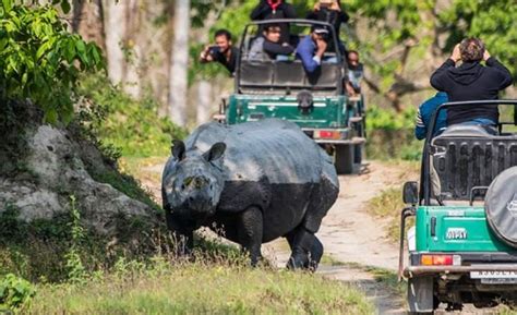 Kaziranga National Park Travel Guide for Jeep & Elephant Safari