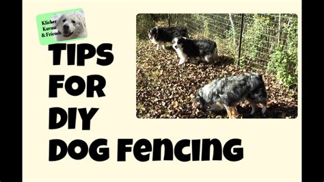 You'll learn how to measure your fence, dig holes, and pour cement for extra support for the posts. Tips For DIY Dog Fencing - YouTube