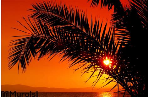 Palm Tree During Sunset Wall Mural