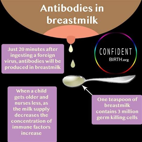 Pin On Breastfeeding Infographics