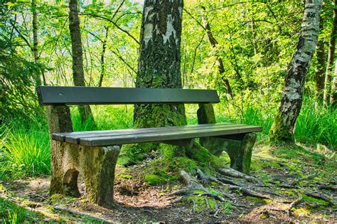 Bench Wooden Nature Free Photo On Pixabay Pixabay