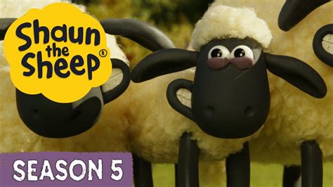 Shaun The Sheep Season 5 🐑 All Episodes 1 20 Fun Laughs