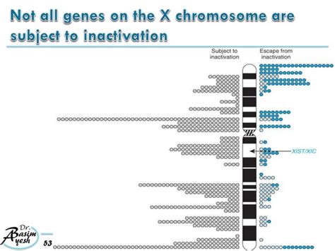 6 Clinical Cytogenetics Disorders Of The Autosomes And The Sex Chromosomes