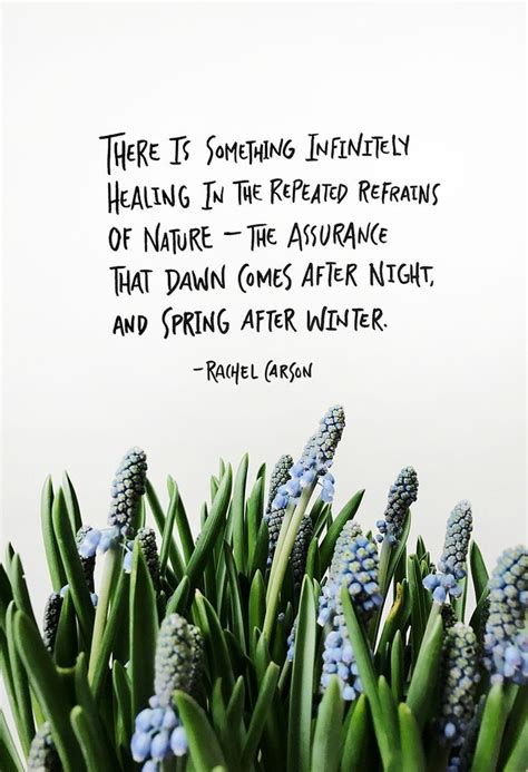 Quotes About Spring And New Beginnings Inspiration