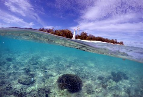 As Much As 35 Percent Of Northern And Central Great Barrier Reef Dead