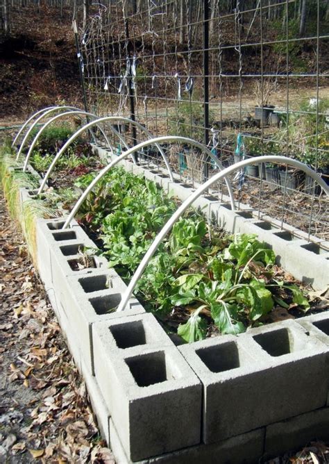 If you're putting a raised bed on concrete, make it around 40 cm (16) deep if you can, and either put drainage pipes from the base to where you'd like. Garden Ideas Garden Tips - Cinderblock Raised Bed concrete ...