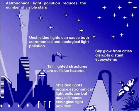 Ecological Light Pollution Longcore Frontiers In Ecology And