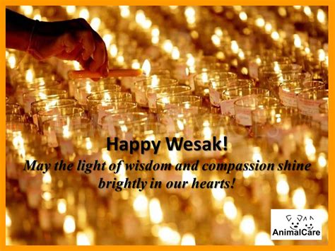 Celebrated by many people around the world, wesak day is usually a public holiday in countries such as malaysia, singapore, indonesia. 23 Happy Vesak 2017 Wish Pictures