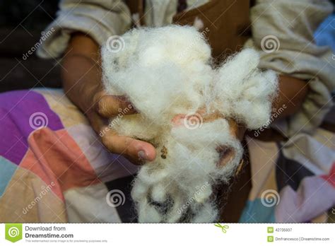 Manual Processing Of Wool Stock Image Image Of Color 42735937