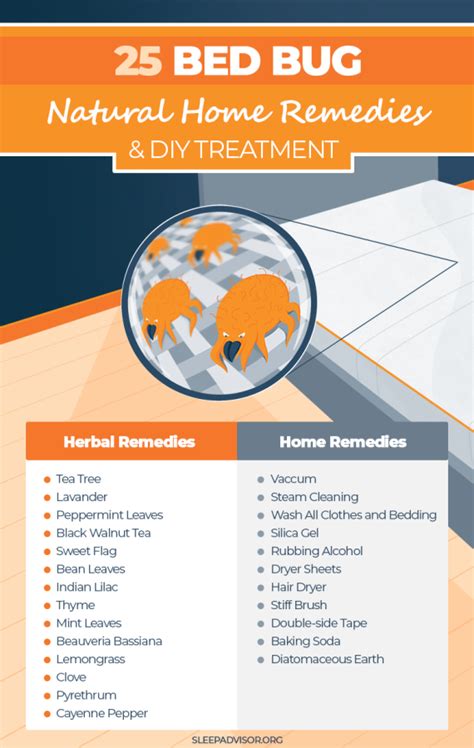 Home Remedies To Get Rid Of Bed Bugs 25 Effective Diy Treatments