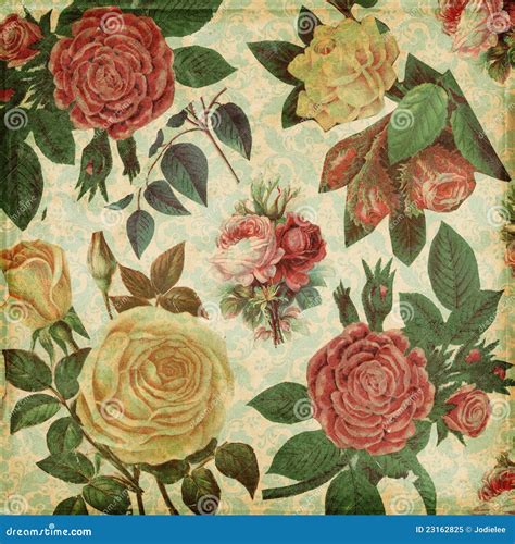 Botanical Vintage Roses Shabby Chic Background Stock Illustration