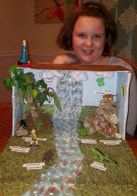 Rainforest Diorama By Sydney Simmons 4th Grade 10 Yrs Old A Science