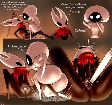 Post 3989906 Hollow Knight Hornet Lace Wick Regrets