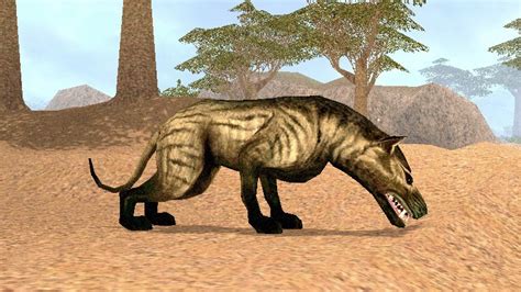 Hyaenodon Carnivores Wiki