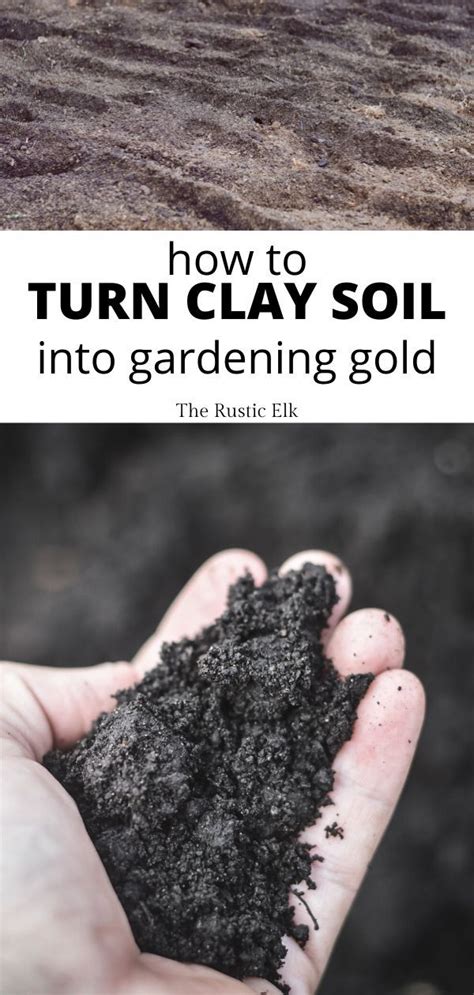 When i first went looking for native clay it seemed to be a rare thing, like gold or silver, i couldn't find wild clay anywhere. How to amend clay soil - Classic Guides
