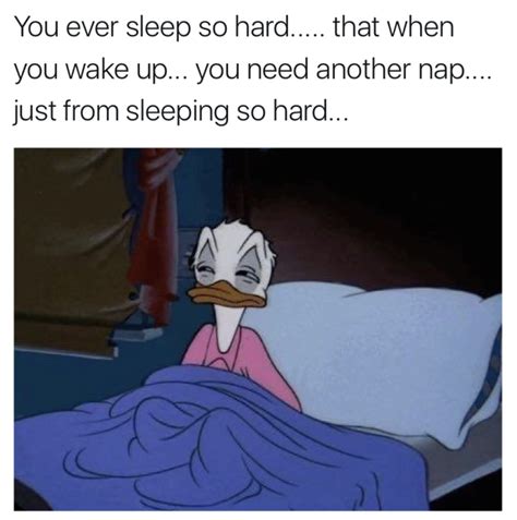 Funny Sleep Memes For Sleep Deprived People To Relate To Sittercity