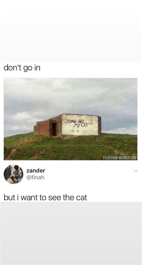 Meow Meme Guy