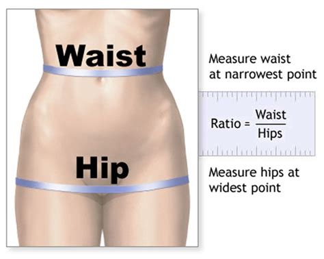 Waist Hip Ratio How To Accurately Measure Your Waist To Hip Ratio