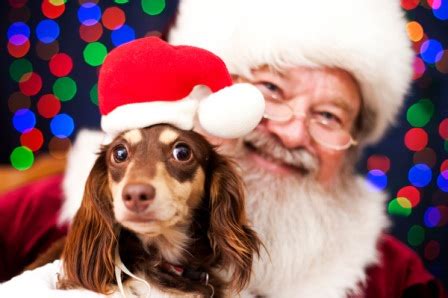 Pet barn is locally owned and operated since 1987. Pet Photos with Santa at Eastdale Mall 2015