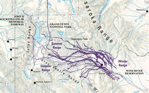 New Maps Detail Migration Corridors Across The West Aspen Public Radio