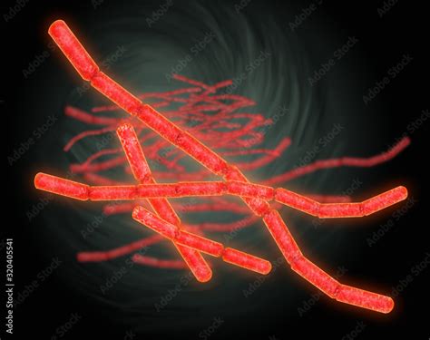 Bacillus Cereus Illustration Stock Illustration Adobe Stock