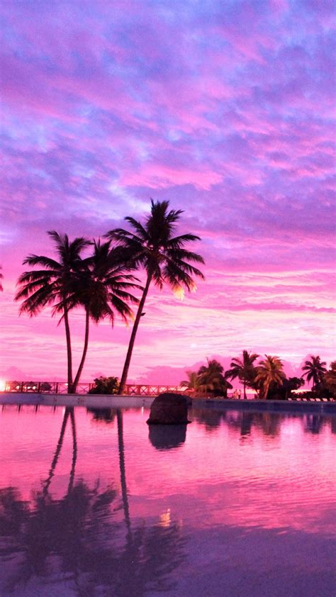Download 33 Wallpaper Pink Sunset Gambar Download Postsid