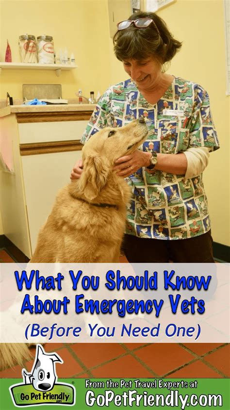 I recommend them to everyone. Emergency Vets Near Me Now