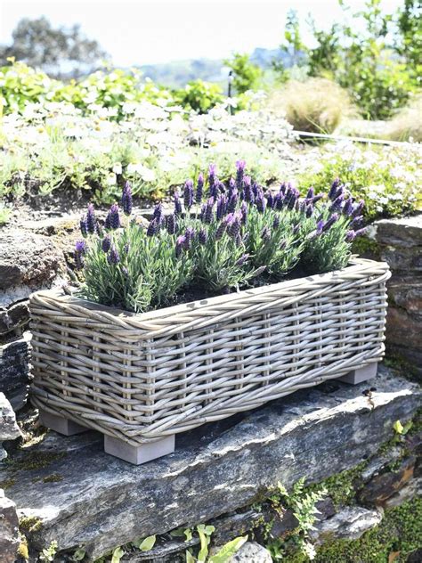 Vases And Planters Zinc Planters Vases Uk Scandi Plant Pots