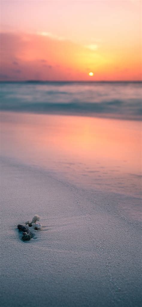 Sunset On The Beach Iphone X
