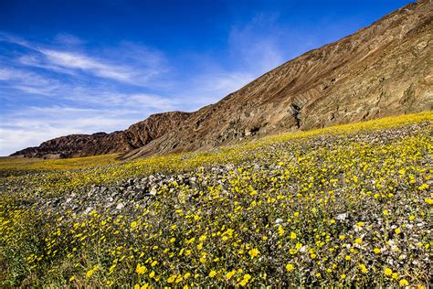 Maybe you would like to learn more about one of these? Best Places in California to See Wildflowers with Kids ...
