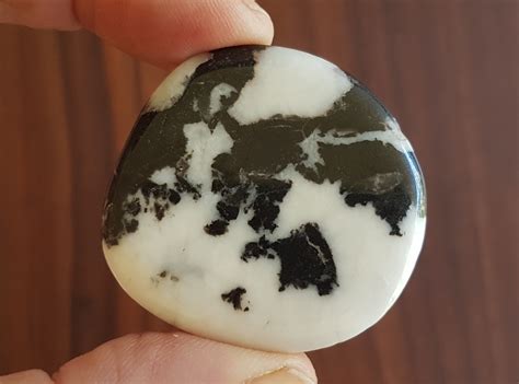 Zebra Jasper Palm Stones Energy In Balance