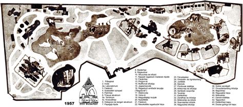 Map Of Zoo Budapest 1957