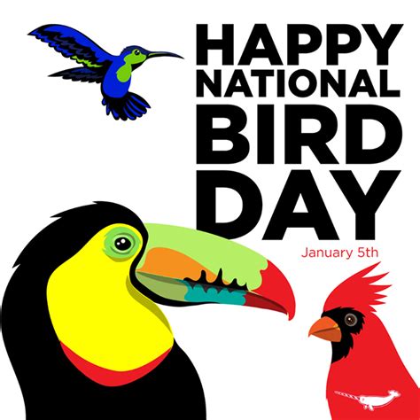 January 5 Is National Bird Day Be Thankful And Protect What You Love