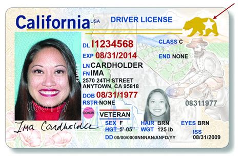 Dmv Driving License For International Students Apply Pofehub