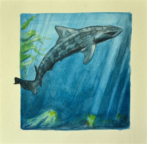 How To Draw A Leopard Shark Feliks Zeki