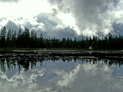 We focus on quality, not quantity, in our craft. Lake Information Page - King County