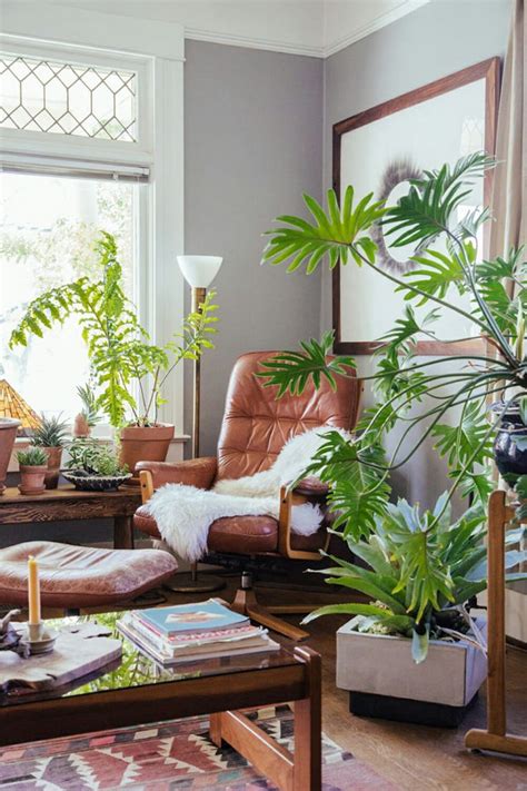 How to make your living room more livable | Plants, Living room plants