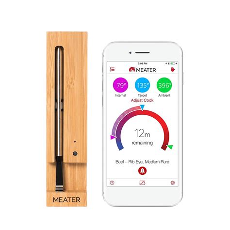 The 10 Best Wireless Meat Thermometers In 2019 Food Shark Marfa