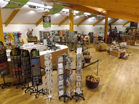 Let your creativity flair with our customise tool. New Electrics and Lighting for Marwell Zoo Shop