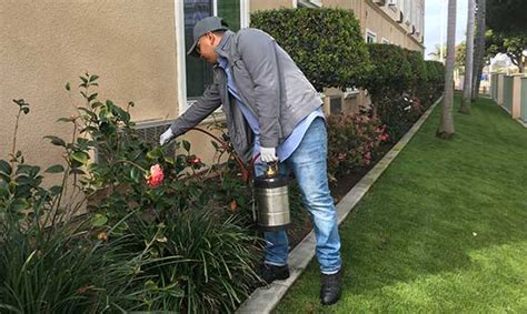 Treebark termite and pest control. Residential Pest Control | Hollywood, Los Angeles, Santa ...