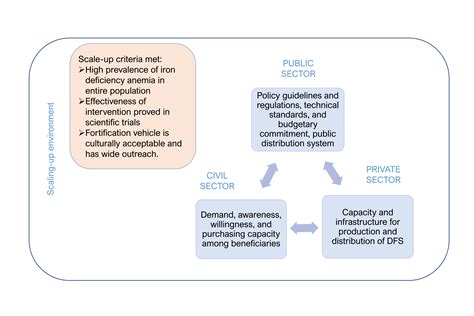 A Case Study On The Scaling Up Of Double Fortified Salt Through The