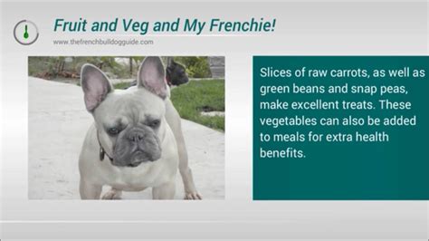 This list is not exhaustive. What's the best food to feed my French bulldog - YouTube