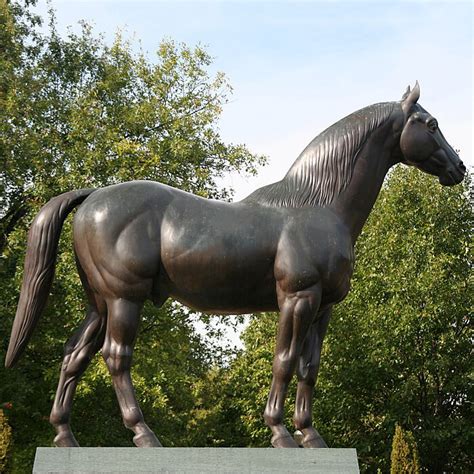 Check spelling or type a new query. Life Size Bronze Horse Sculptures for Sale